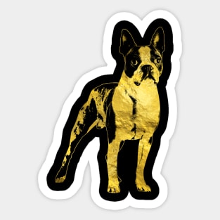 Boston Terrier dog Sticker